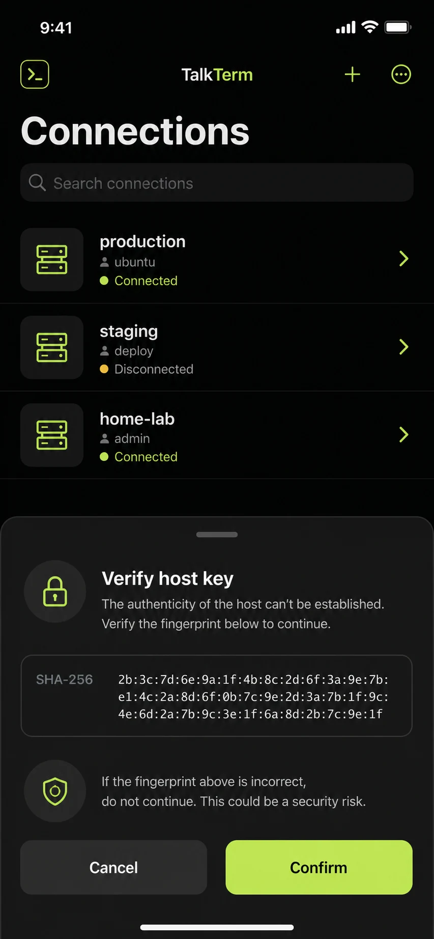 TalkTerm on iPhone
