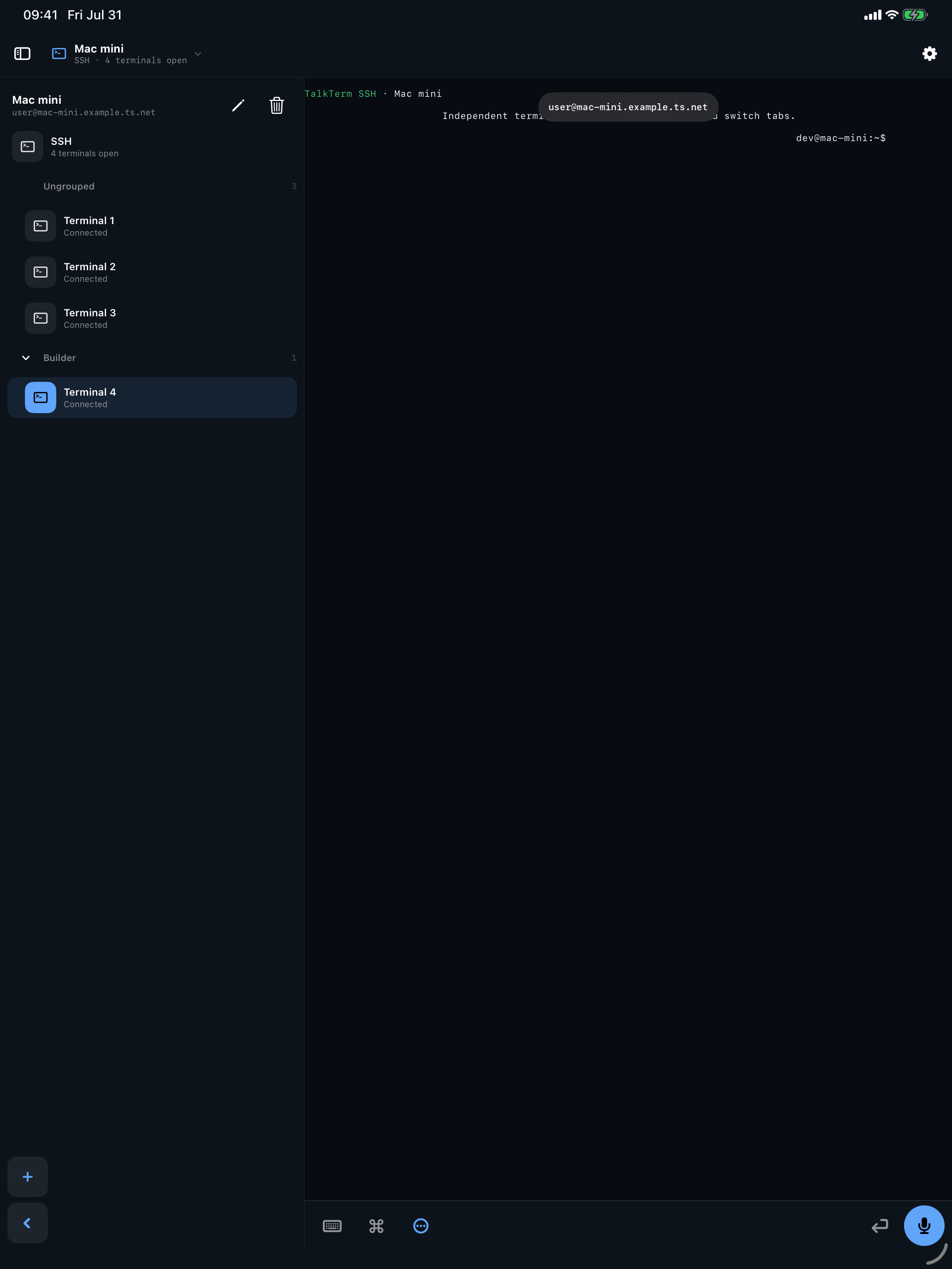 TalkTerm showing four grouped SSH terminals on an iPad